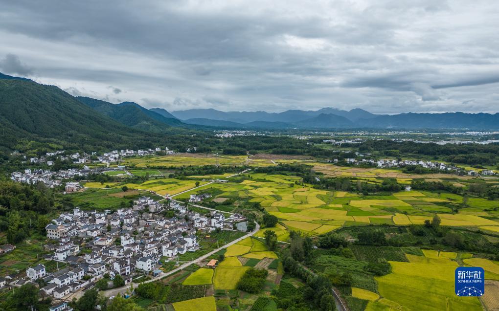 申博备用网址